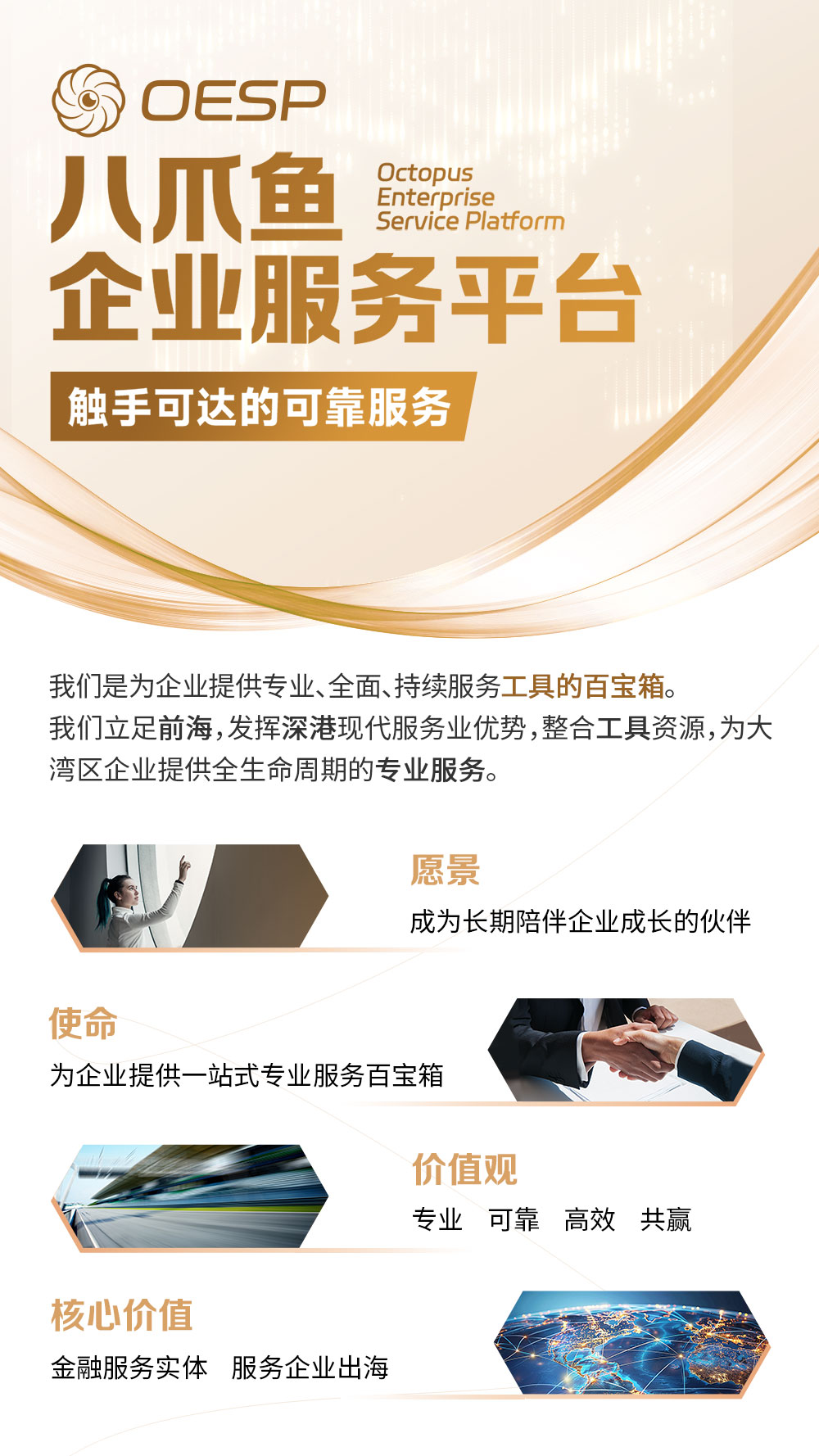 5B電視屏-平臺(tái)簡介.jpg