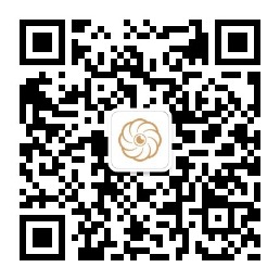 網梭科技